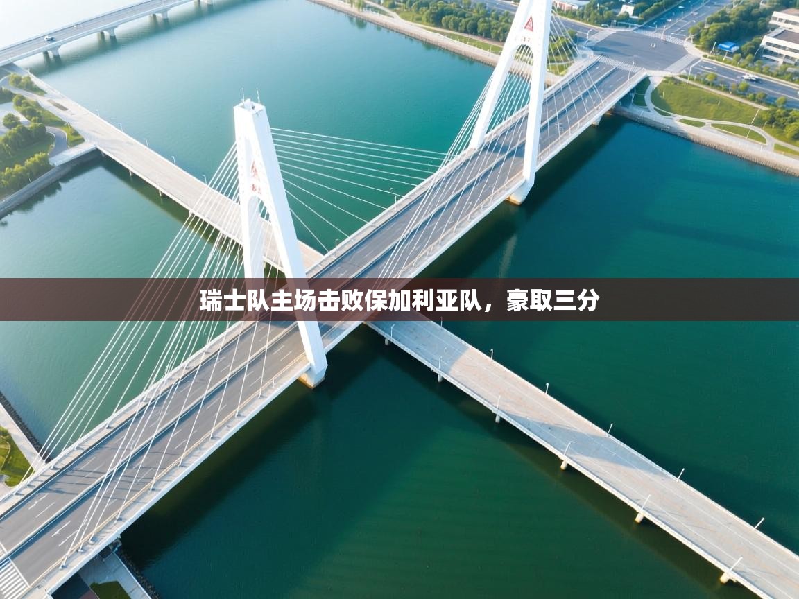 瑞士队主场击败保加利亚队，豪取三分  第1张