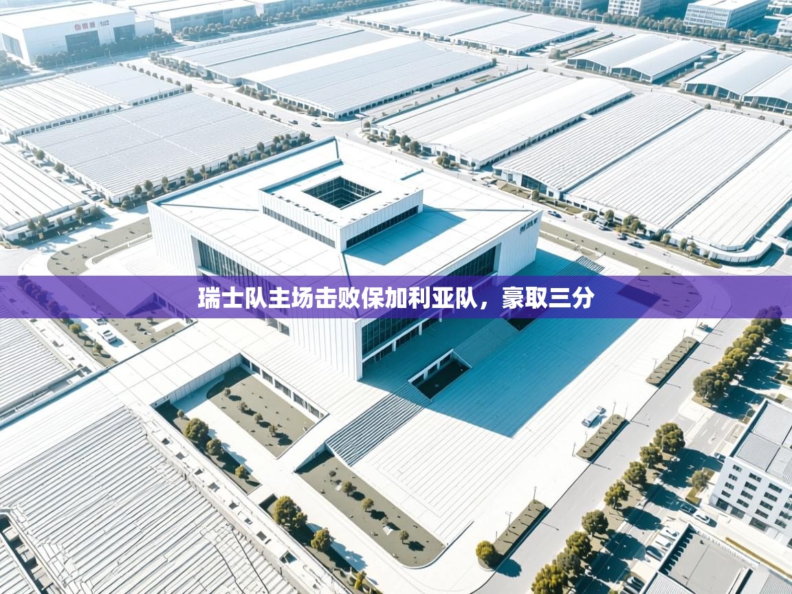 瑞士队主场击败保加利亚队，豪取三分  第2张