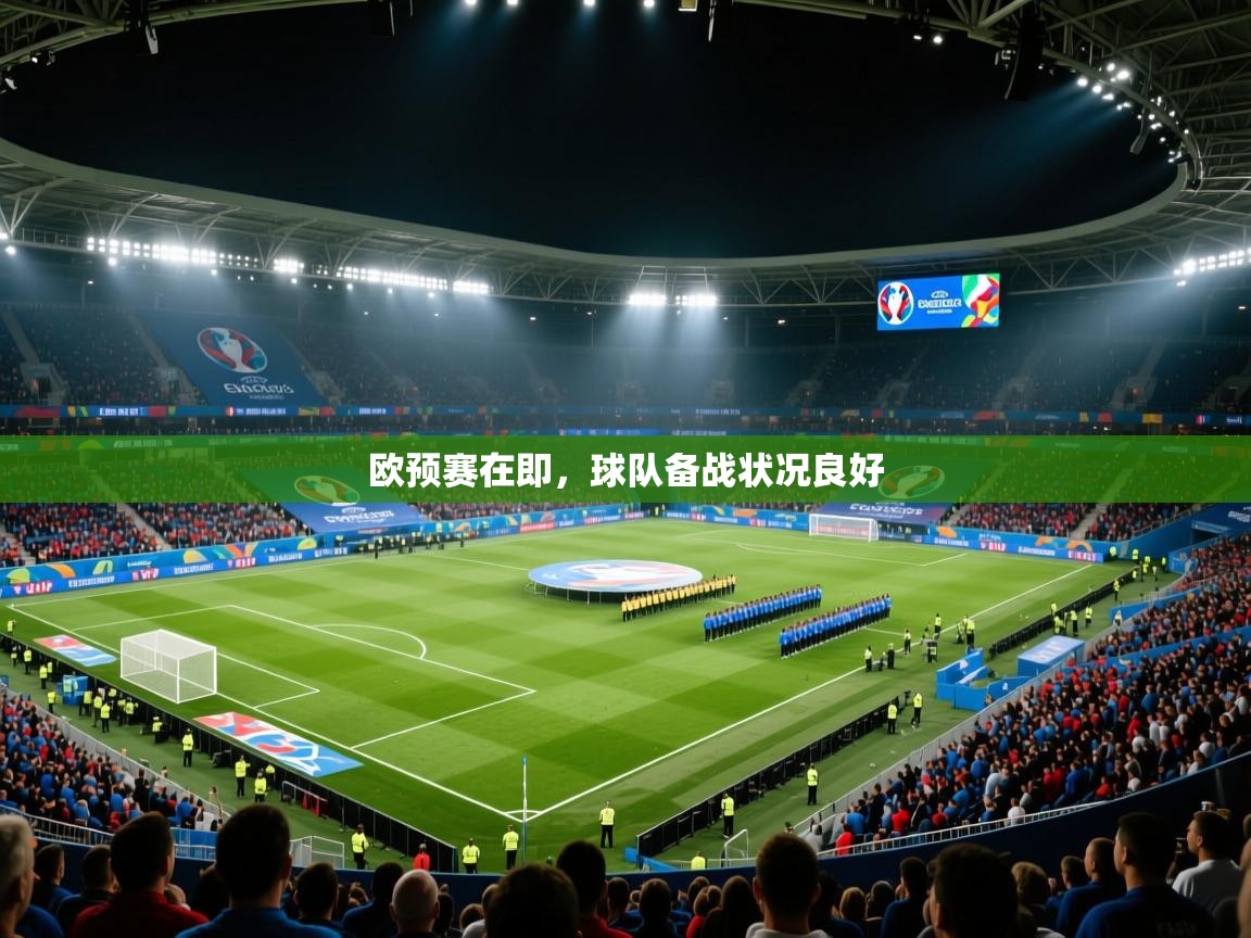 欧预赛在即，球队备战状况良好  第1张