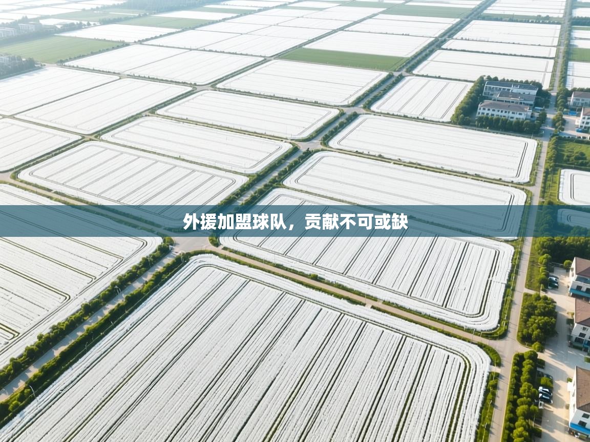 外援加盟球队，贡献不可或缺  第1张